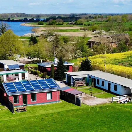 Gruene Wiese