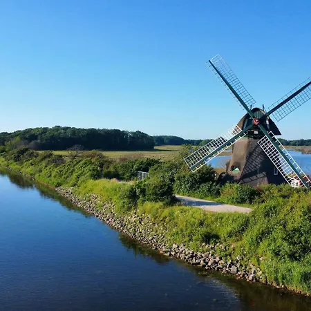 Gruene Wiese